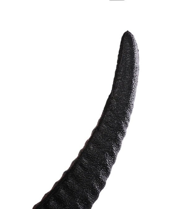 Halloween Ram Horn Headband