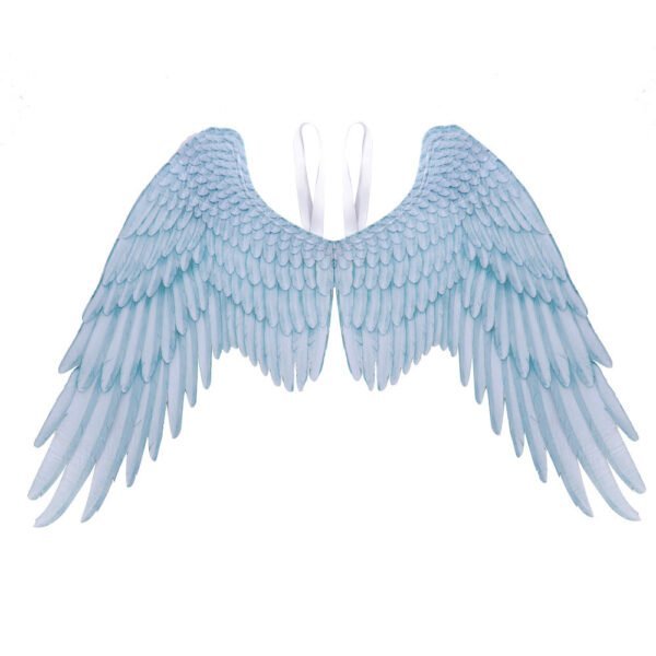 Extra Large Angel Wings